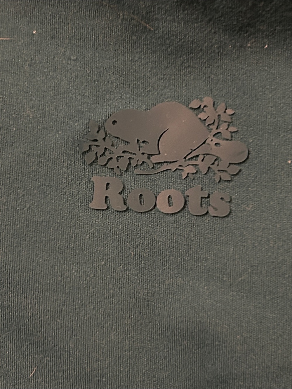 Roots Green Shorts with Raised Beaver Logo